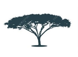 ACACIAS 3, S.A.